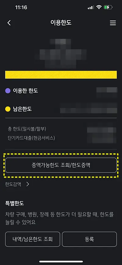 한도 증액 버튼