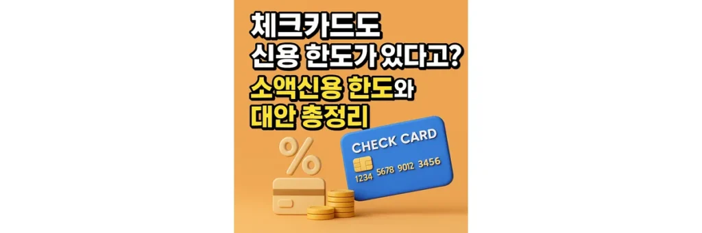 체크 소액신용 한도