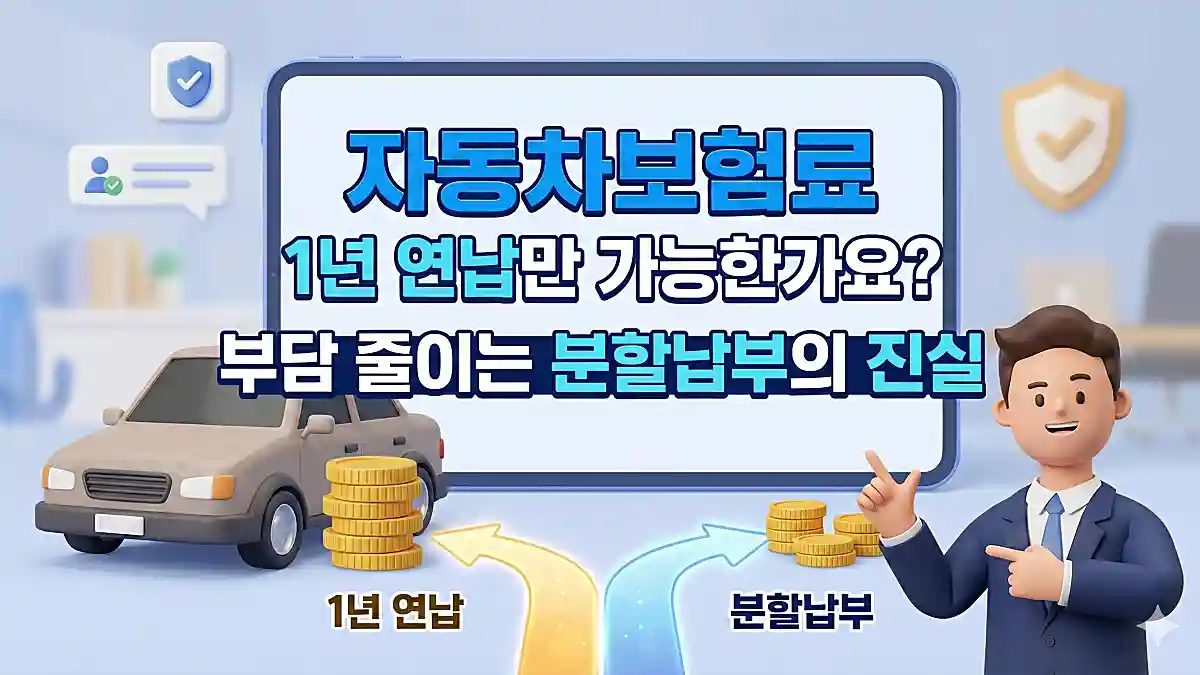 자동차보험료 연납과 분할납부