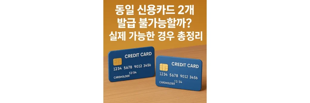 같은 신용카드가 2개 있는 모습