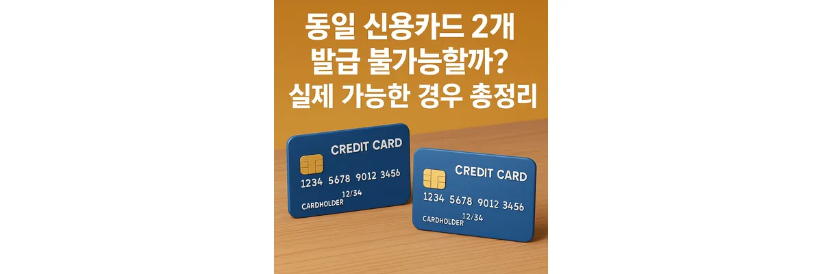 같은 신용카드가 2개 있는 모습