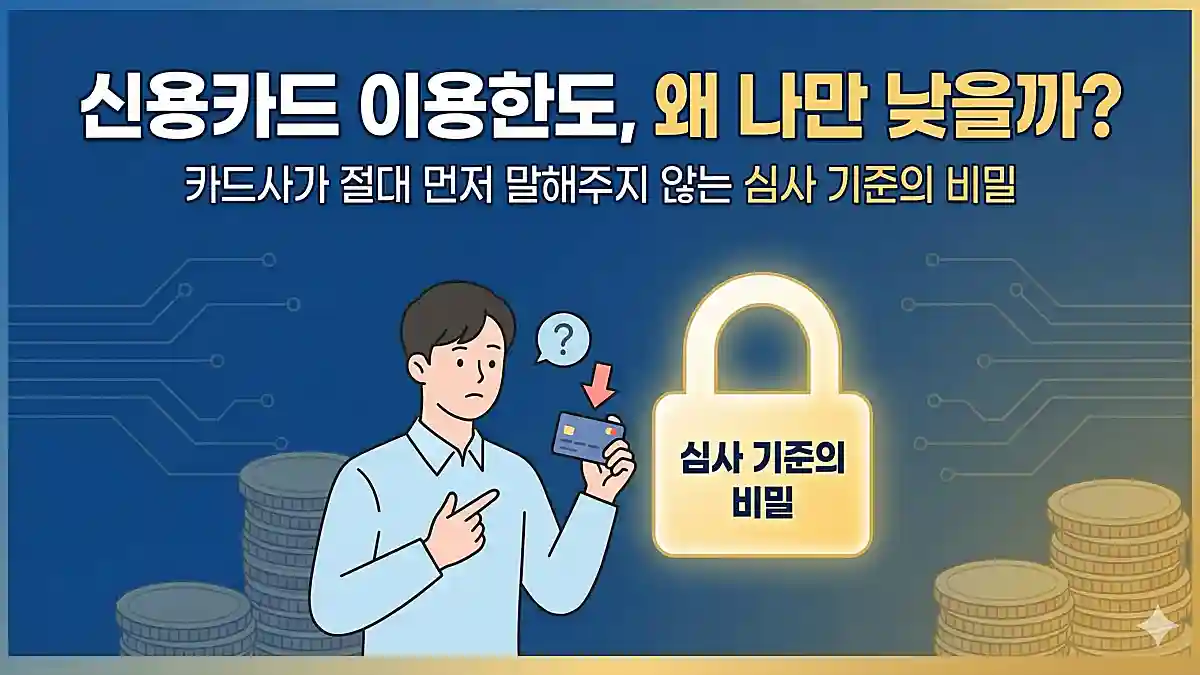 신용카드 이용한도