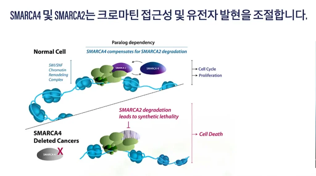 SMARCA 치료 방법