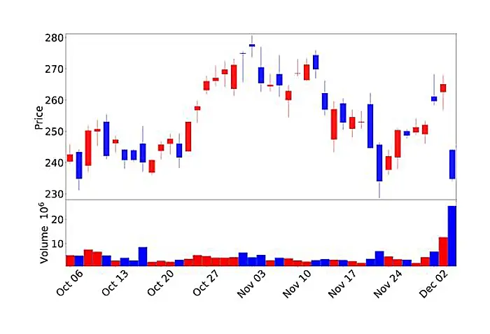 스노우플레이크 주가 캔들 차트