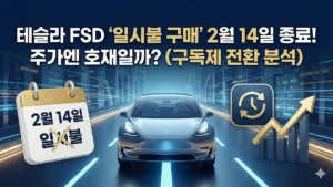 테슬라 FDS 구독제 전환