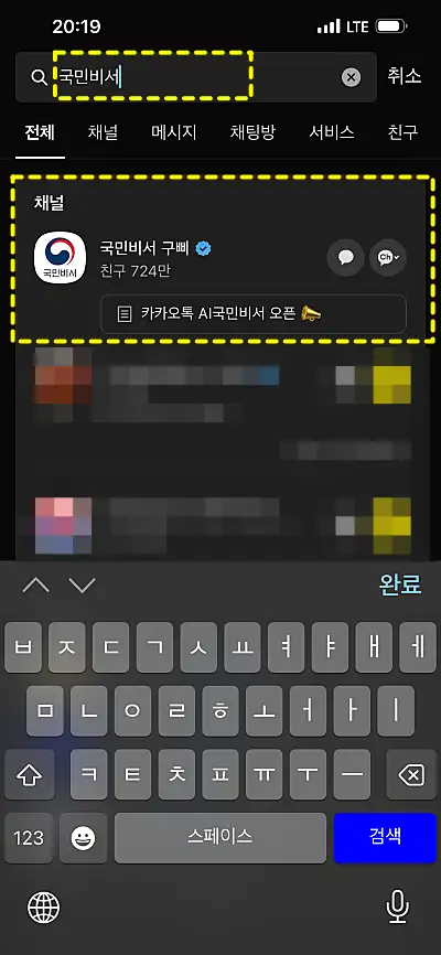 카카오톡 국민비서 검색 결과 캡처