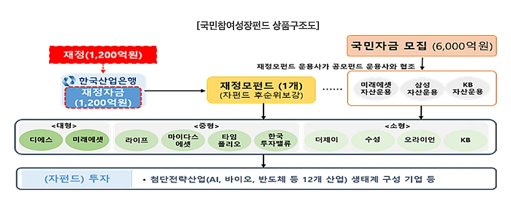 국민성장펀드 운영 구조 (출처: 금융위원회)